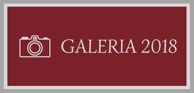 Galeria11